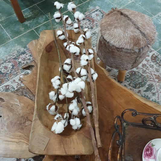Cotton Stems - Extra Long With Thick Stems