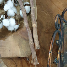 Load image into Gallery viewer, Cotton Stems - Extra Long With Thick Stems