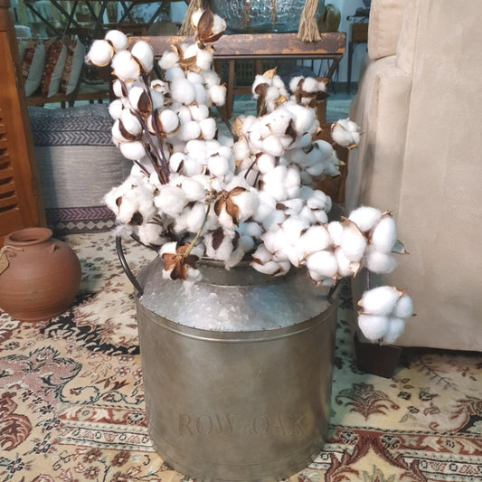 Cotton Stems - Thin Stem With Multiple Tufts