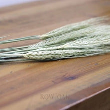 Load image into Gallery viewer, Dried Wheat Stems - Row & Oak