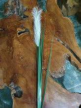 Load image into Gallery viewer, Tall Mexican Threadgrass Stem - 126Cm