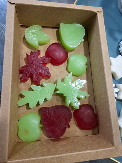 Gift Box of Leaf-Shaped Soaps