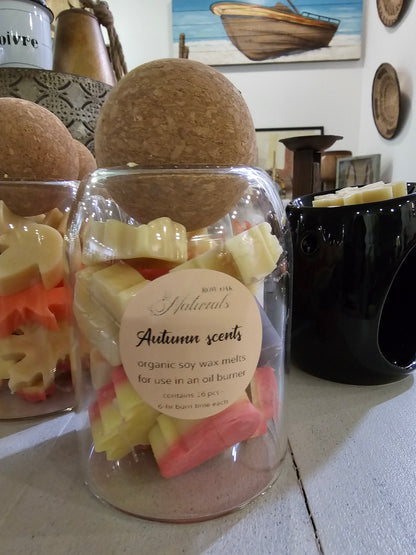 Autumn Wax Melts