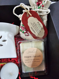 Winter Wax Melts with Burner Gift Set