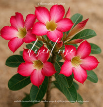 Load image into Gallery viewer, وردة الصحراء