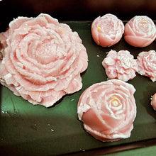 Load image into Gallery viewer, Gift Box of Floral Wax Melts