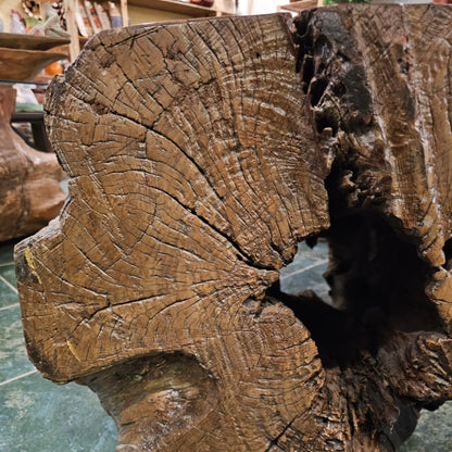 Teak Trunk Coffee Table