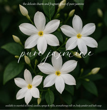 Load image into Gallery viewer, الياسمين