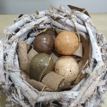 Load image into Gallery viewer, Birch Bird Nest With Delicate Eggs