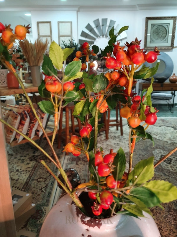 Bunches Of Fall Berries Stems