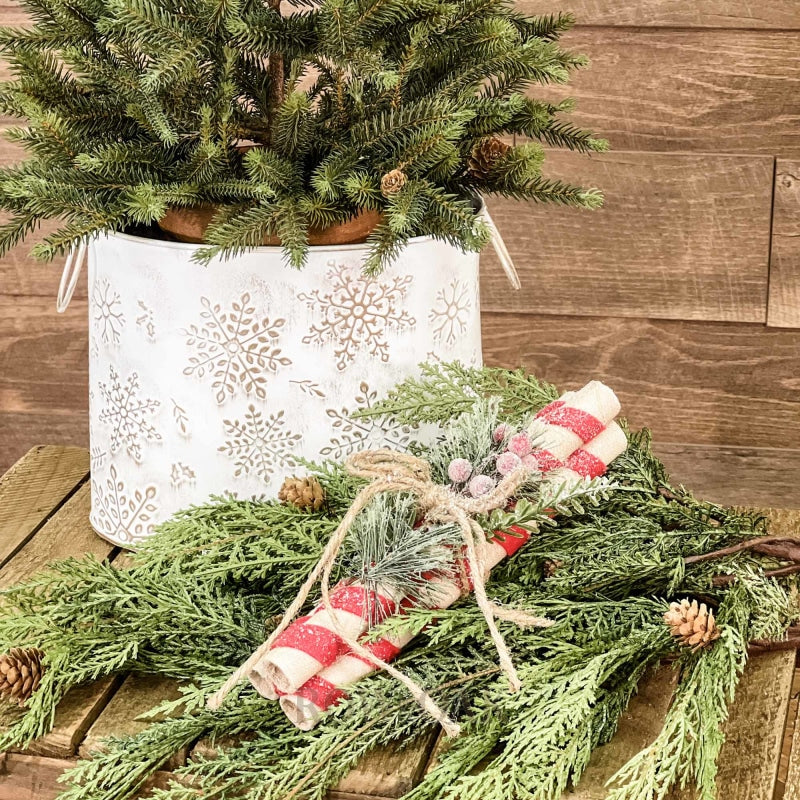 Bundled Candy Cane Branches