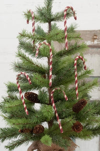 Candy Cane Ornaments - Set Of 6