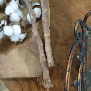 Cotton Stems - Extra Long With Thick Stems