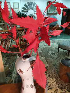 Dark Red Leafy Stems