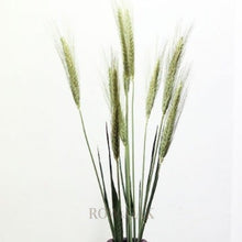 Load image into Gallery viewer, Dried Wheat Stems - Row &amp; Oak