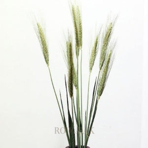 Dried Wheat Stems - Row & Oak