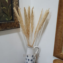 Load image into Gallery viewer, Dwarf Pampas Grass Stems - Natural