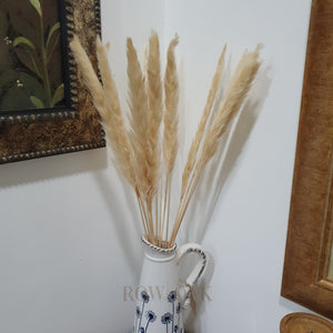 Dwarf Pampas Grass Stems - Natural