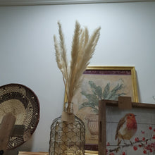 Load image into Gallery viewer, Dwarf Pampas Grass Stems - Natural