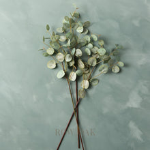 Load image into Gallery viewer, Gumdrop Eucalyptus Stems - 120Cm