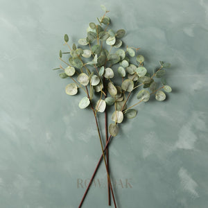 Gumdrop Eucalyptus Stems - 120Cm