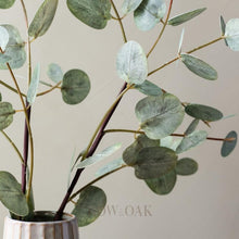 Load image into Gallery viewer, Gumdrop Eucalyptus Stems - 120Cm