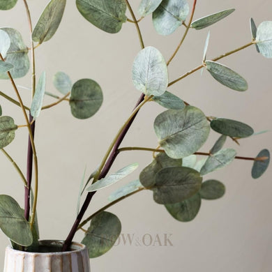 Gumdrop Eucalyptus Stems - 120Cm