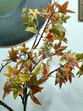 Load image into Gallery viewer, Huge Autumn Leafy Stems