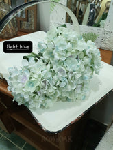 Load image into Gallery viewer, Hydrangeas