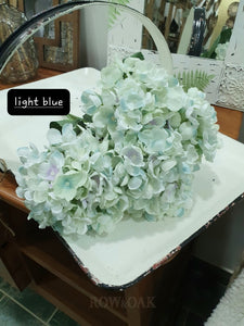 Hydrangeas