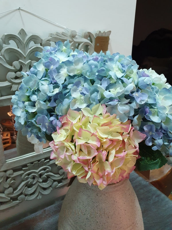 Hydrangeas