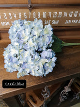 Load image into Gallery viewer, Hydrangeas