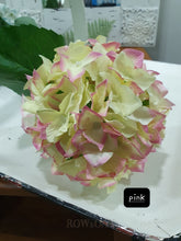 Load image into Gallery viewer, Hydrangeas