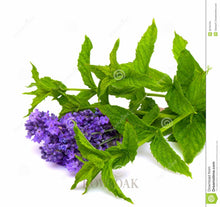 Load image into Gallery viewer, Lavender &amp; Mint