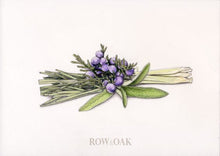 Load image into Gallery viewer, Lemongrass Sage