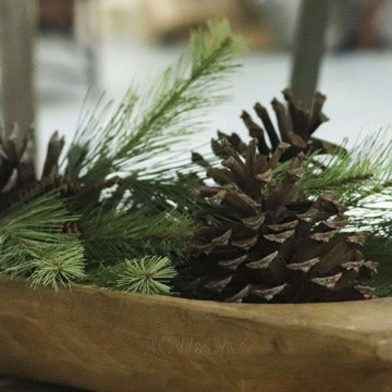 North Carolina Pine Cones