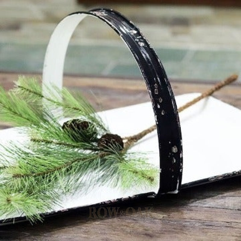 Pine Branches With Small Cones