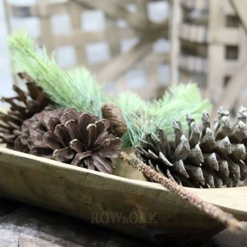 Pine Branches With Small Cones