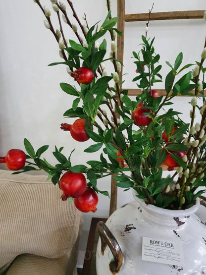 Pomegranate Stems