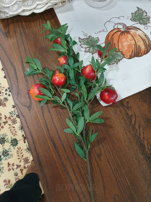 Pomegranate Stems