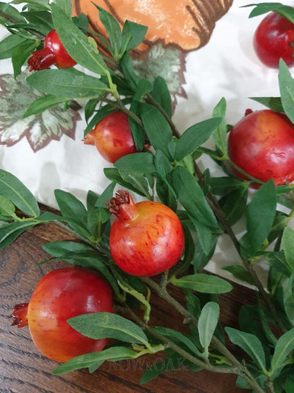 Pomegranate Stems