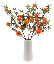 Load image into Gallery viewer, Valencia Orange Stem