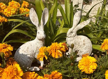 Load image into Gallery viewer, Vintage Rabbit Sculptures Set of 2
