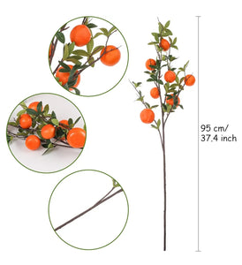 Valencia Orange Stem