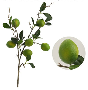 Lime Stem