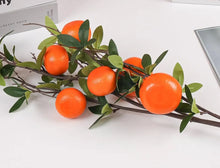 Load image into Gallery viewer, Valencia Orange Stem