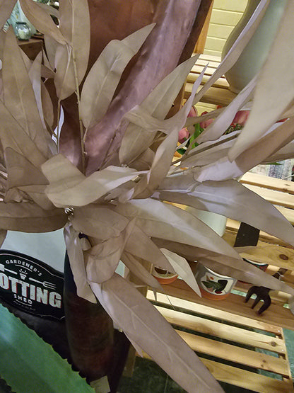 Taupe Pointed Eucalyptus Leaves