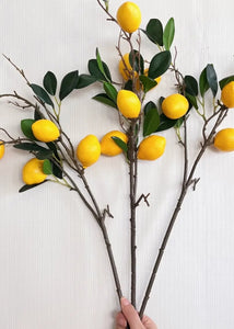 Lemon Stems