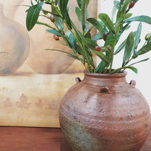 Load image into Gallery viewer, Rustic Terracotta Olive Pot