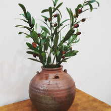 Load image into Gallery viewer, Rustic Terracotta Olive Pot